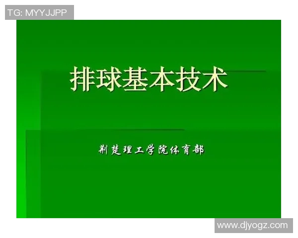 成都排球队总决赛技术分析与表现评估全面解读